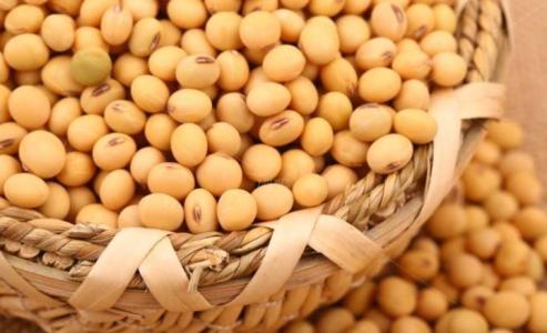 春季常见食物促进女性健康  第2张
