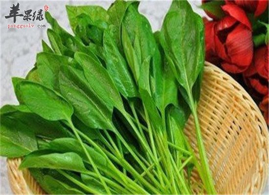 三种食物养胃霜降节气必选