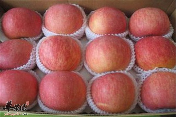 常吃这些食物孕妇安胎效果好  第2张