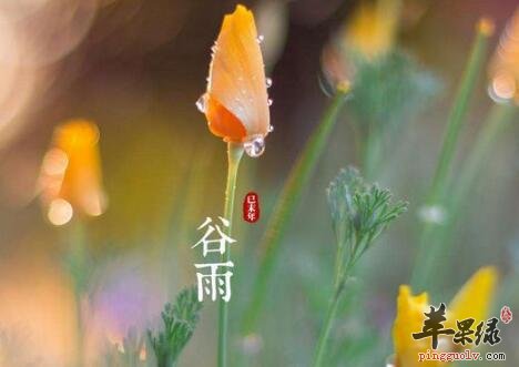 2017年谷雨是什么时候  第1张