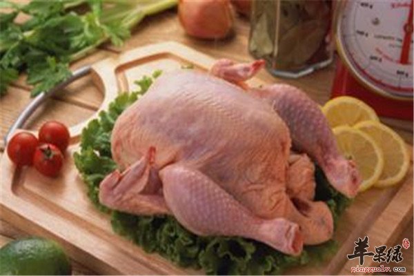 春季养生要点 饮食调理很重要  第1张