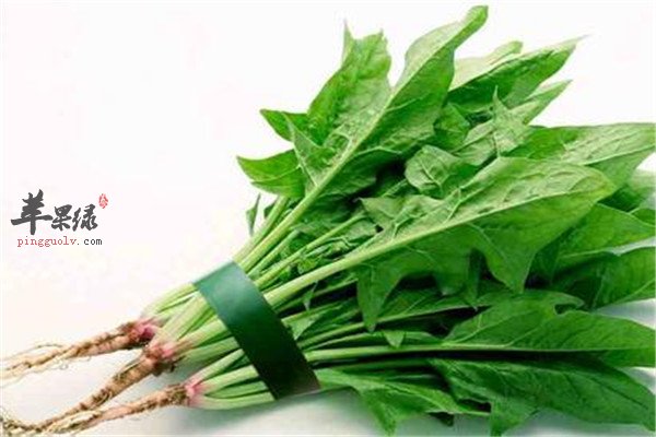 小满吃什么好 推荐3种食物  第4张