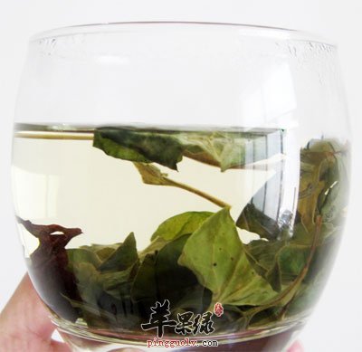 春季火气大，多喝降火茶  第4张