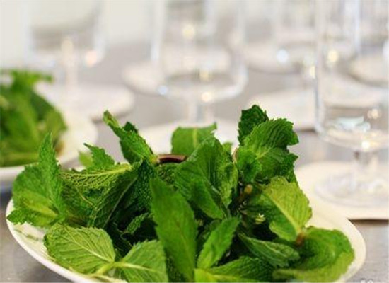 男性胃酸过多不能吃什么_禁忌食物