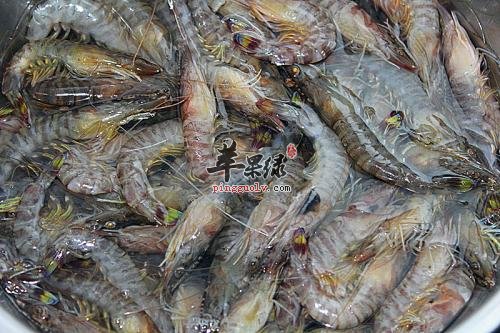 宝宝们能不能食用基围虾 有何好处  第1张