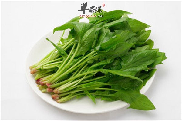 春季吃什么去燥 三种蔬菜防上火  第1张