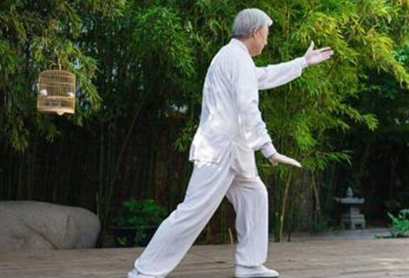 老年人养生之道_老年人养生吃什么好  第1张