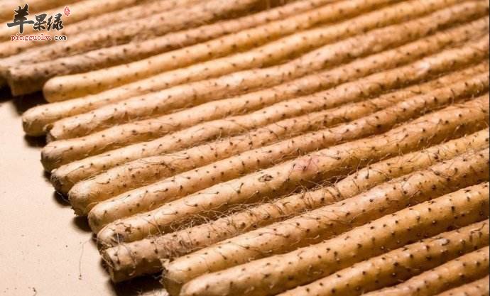 惊蛰养生要注意哪些 注意饮食和运动  第1张