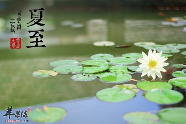 夏至饮食防中毒 食物中毒的临床表现  第4张