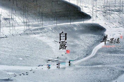 白露养生  第1张