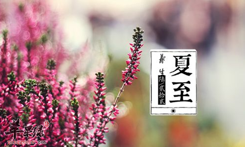 夏至来了 如何让身体适应各方面变化  第2张