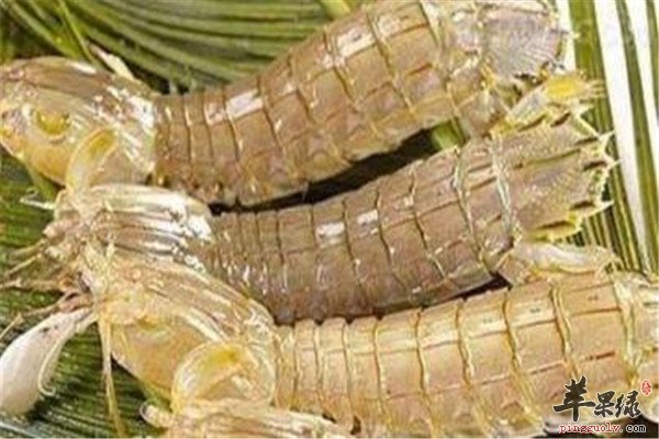 七月份吃什么海鲜好 三种海鲜营养多