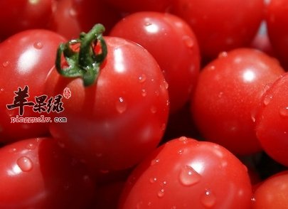 冬季多吃西红柿能有效保暖