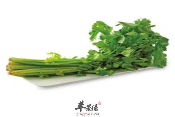 适合冬至节气的三种蔬菜可常吃  第4张