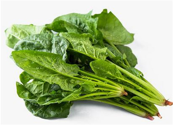 四类食物经常吃有效预防老年痴呆  第4张