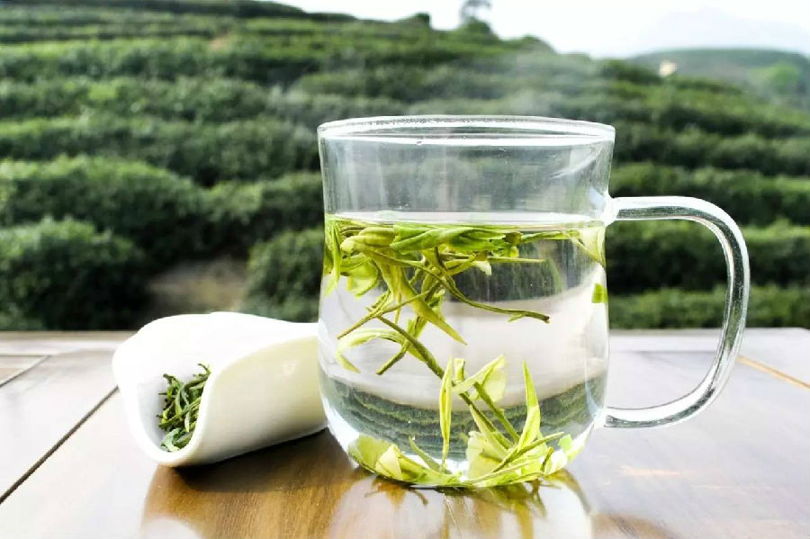 秋季喝茶能除燥润肺 这些茶很适合