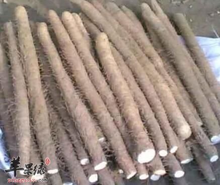 为大家介绍适合在冬季食用的蔬菜  第2张