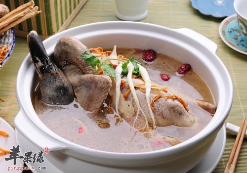 处暑养生如何吃 推荐处暑的饮食选择  第1张