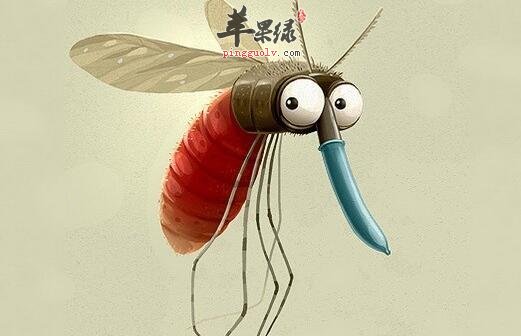 为何你那么招蚊子 或许吃了这些食物