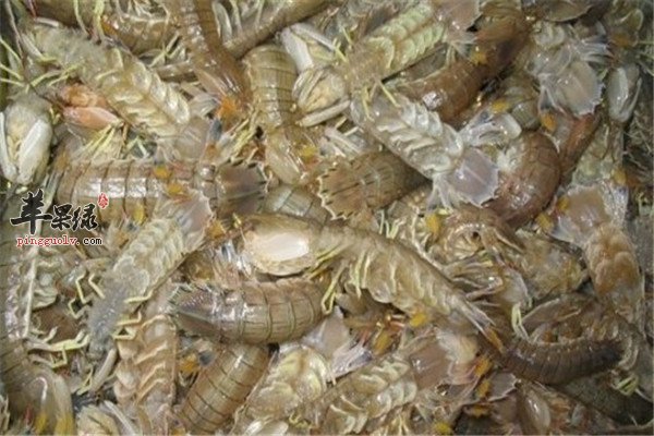 九月吃什么海鲜 鱿鱼爬虾梭子蟹  第3张