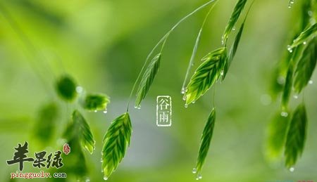 谷雨为什么要养肝补脾  第1张