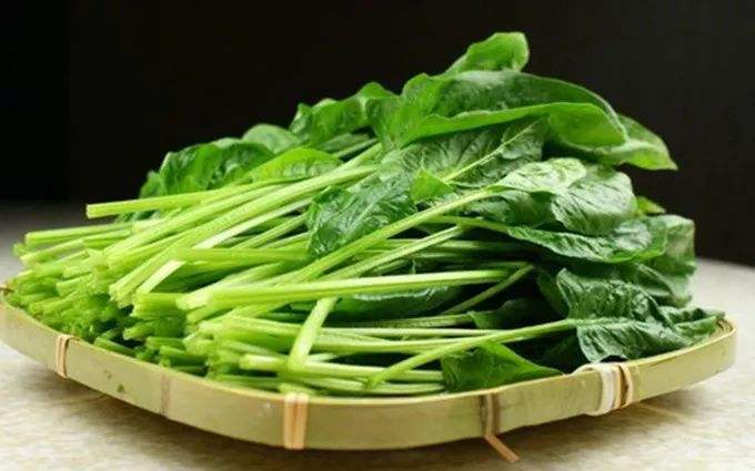 青少年吃什么能帮助提高视力_推荐饮食  第4张