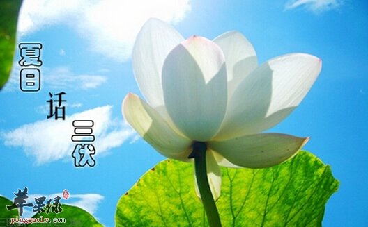 三伏天从什么时候开始