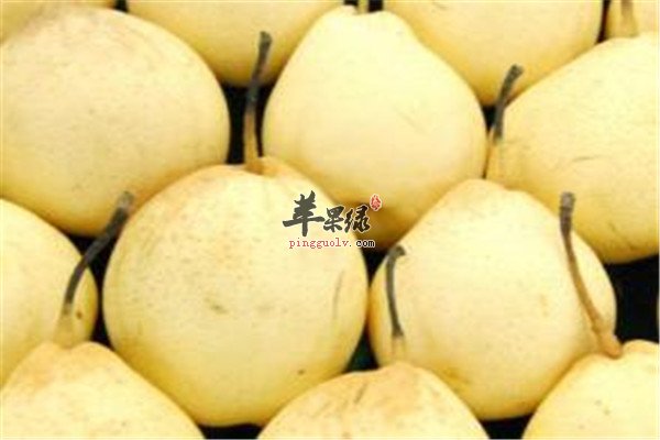 三种可以缓解春季咳嗽的食物要常吃  第1张