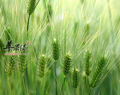 立夏，夏季养生自此始  第1张