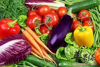 白露如何通过饮食来养生