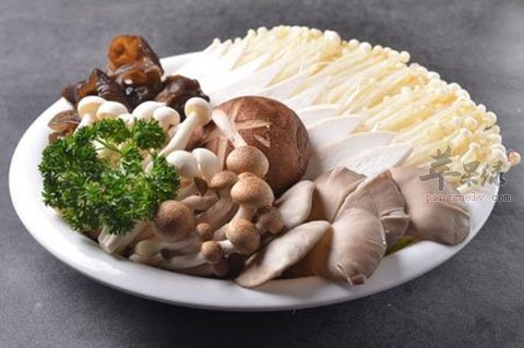 贫血的饮食建议 幼儿吃这些能补血  第4张