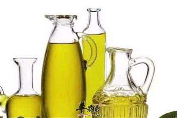 男性强筋骨补肾的三种食材