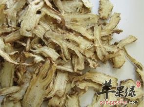 春季进补的药方有哪些呢  第1张