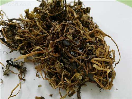 孕妇服用蒲公英的注意事项 要小心对待  第1张