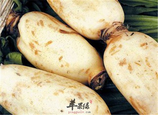 二十四节气之冬至要吃莲藕西葫芦