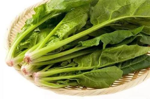 孕妇吃菠菜的好处_作用  第3张