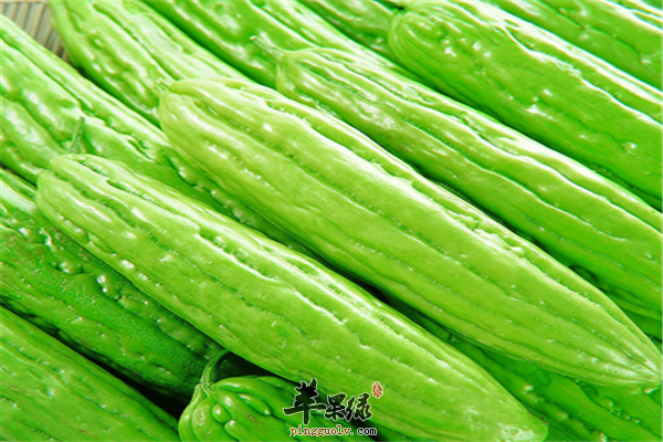 夏季多吃点苦味菜 推荐油麦菜苦瓜莴苣  第3张