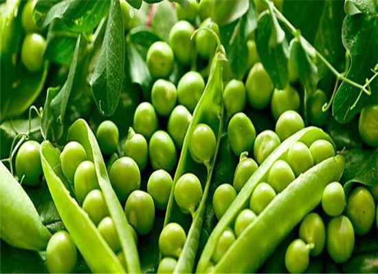 小暑节气怎么美白 推荐3种食物