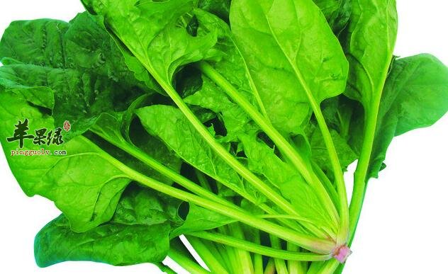 夏季这5种食物帮你养好胃  第3张