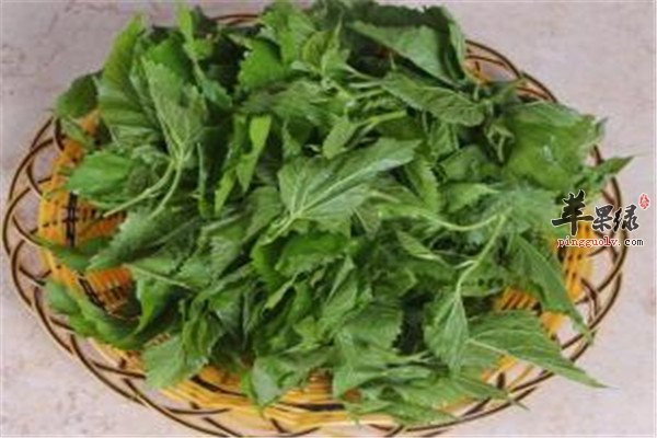 桑叶能降血糖 这样食用更有益  第2张
