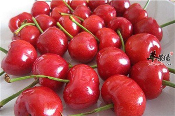 四种食物大暑节气清热又解暑
