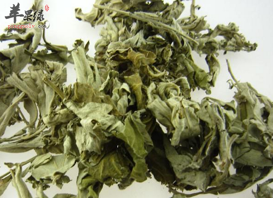冬季用艾叶泡脚的好处有哪些  第3张