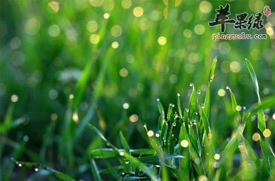 谷雨节气的防病保健