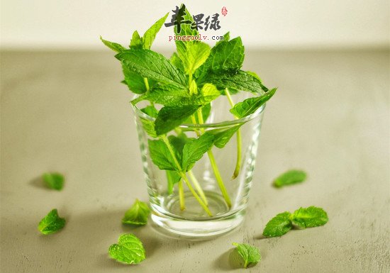 夏季养生原则需牢记  第2张