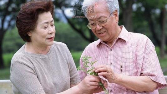 春季老年人注意睡眠 好心情很重要  第4张