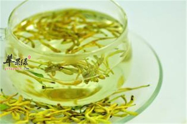 春季上火吃什么 三款茶品来降火  第1张
