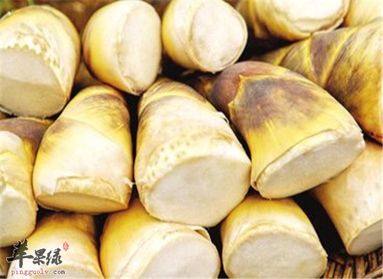 冬至吃什么菜 推荐菠菜和冬笋  第4张