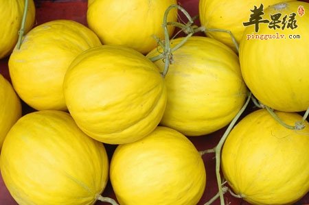 夏季想要不生病 这些食物不能少  第4张