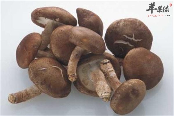 女性预防卵巢早衰的食物推荐  第2张