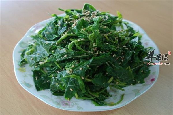 桑叶也能吃 懂得搭配才是关键技巧
